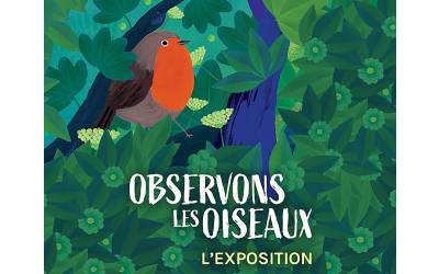 Exposition Observons les oiseaux