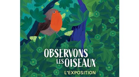 Exposition Observons les oiseaux
